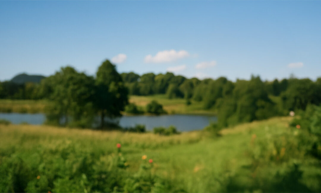 Chronic Sinusitis and Nasal Polyps in East Texas